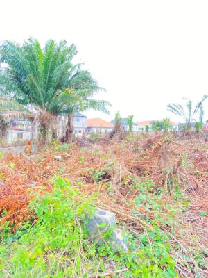 Distress! 2plots of Dryland in a Built Up Environment, Alashela Royal Estate Ogombo Ajah, Ogombo, Ajah, Lagos, Residential Land for Sale
