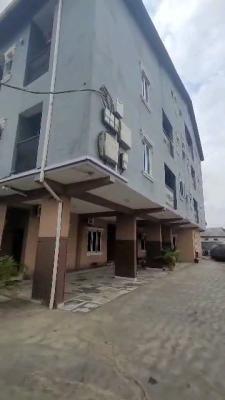 Relatively New Decent 2bedroom Flats in a Well Gated Environment, Alfasunny Street, Charley Boy, Gbagada, Lagos, Flat / Apartment for Rent