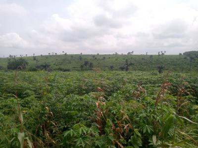 Land, Odo Alumapebi, Ijebu Ode, Ogun, Mixed-use Land for Sale