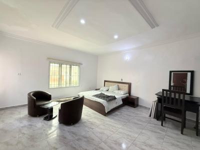 a Serviced 2 Bedroom Flat in Ikate Elegushi, Ikate Elegushi Lekki, Ikate Elegushi, Lekki, Lagos, Flat / Apartment for Rent