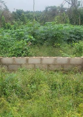 V.i.p Estate, Imota, Ikorodu, Imota, Ikorodu, Lagos, Mixed-use Land for Sale