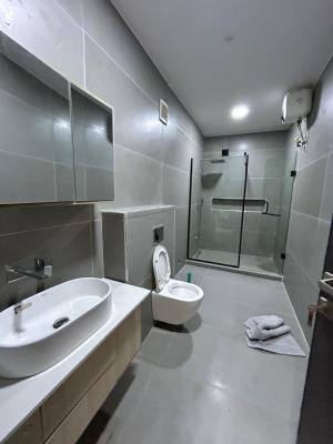 Luxurious Fully Furnished 3 Bedroom Massionette Flat, Old Ikoyi, Ikoyi, Lagos, Terraced Duplex for Rent