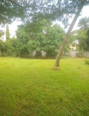 1,156 Sqm of Land in a Prime and Most Sort After Location in Old Ikoyi, Old Ikoyi, Ikoyi, Lagos, Mixed-use Land for Sale