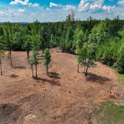 a Newly Lauched Farmland Estate, Eruwa, Ibarapa East, Oyo, Land for Sale