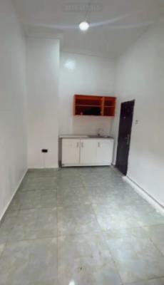 Sharp Standard Sized Studio Apt, in a Secured Environment, Ikate, Lekki, Lagos, Self Contain (single Rooms) for Rent