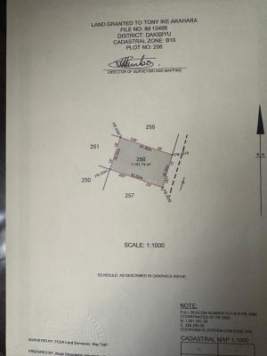 Developers and Architects Delight Land 1100sqm, Jabi, Dakibiyu, Abuja, Residential Land for Sale