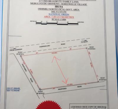 Fresh 3,700sqm Land for Joint Venture Opp. Admiralty University, Along Ogwashi-uku Road, Opposite Admiralty University, Ibusa, Oshimili North, Delta, Mixed-use Land Joint Venture