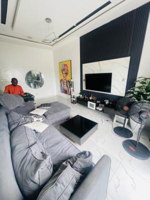 Fully Furnished 2 Bedroom Apartment Snooker, Inverter , Personal Gen, Ologolo, Lekki, Lagos, Flat / Apartment for Rent