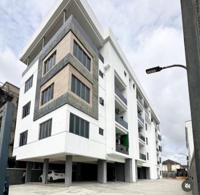 2 Bedroom Fully Furnished Apartment, Ikate Lekki, Ikate, Lekki, Lagos, Flat / Apartment for Rent
