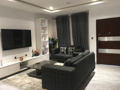 Furnished 2-bedroom Apartment, Victoria Bay 3 Extension, Lekki Phase 1, Lekki, Lagos, Flat / Apartment for Rent