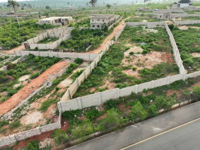 100ft/200ft, New Road to Ibusa From Okpanam City Gate, Asaba, Delta, Commercial Land for Sale