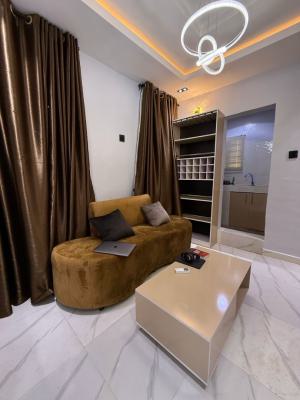 Tastefully Furnished 1 Bedroom Serviced Apartment, Pedro, Gbagada, Lagos, Commercial Property Short Let