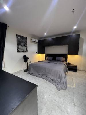Furnished and Serviced Studio Apartment (room Self-contained), Victoria Island, Victoria Island (vi), Lagos, Self Contain (single Rooms) for Rent