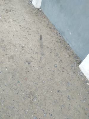 Fantastic  Plot 1500 Square Meters, on Saka Jojo Street, Victoria Island (vi), Lagos, Mixed-use Land for Sale