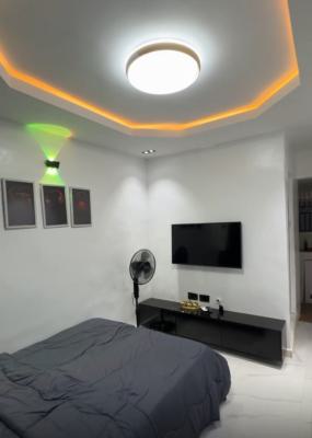 Tastefully Furnished Studio Apartment, Pedro, Gbagada, Lagos, Commercial Property Short Let