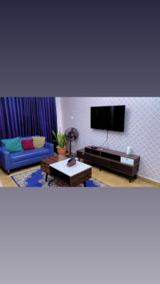 Tastefully Furnished 1 Bedroom Serviced Apartment, Katampe Uptown, Katampe, Abuja, Mini Flat (room and Parlour) Short Let