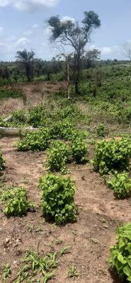 2 Plots of Landed Properties, Imota, Ikorodu, Lagos, Mixed-use Land for Sale