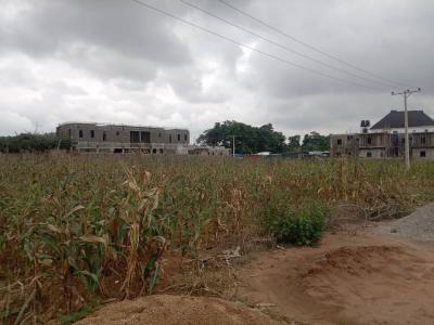 Sweet Buy Build and Live, After Unique Estate, Katampe (main), Katampe, Abuja, Commercial Land for Sale