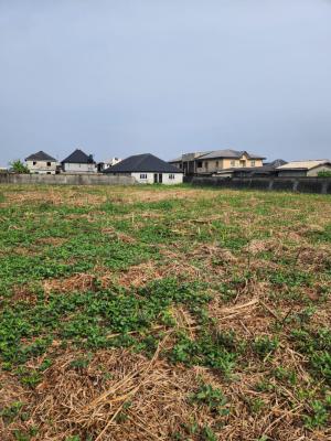 Landed Property, Unity Estate, Badore, Ajah, Lagos, Residential Land for Sale
