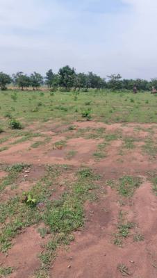 Table Land Available, Central Business District, Abuja, Mixed-use Land for Sale