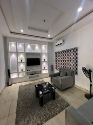 Standard 1 Bedroom Apartment with Inverter 24hrs Light, Inside a Well Secured Estate Along Sunnyvale Expressway, Tarred Road, Galadimawa, Abuja, Mini Flat (room and Parlour) for Rent