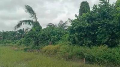 1,000 Sqm of Dryland in a Good  Location with Access Road in Progress., Inside Ajayi Apata Estate, Sangotedo, Ajah, Lagos, Residential Land for Sale