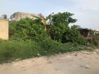Land ( Facing Express ) Lekki Epe Expressway Sangotedo with Consent, Lekki, Lagos, Land for Sale