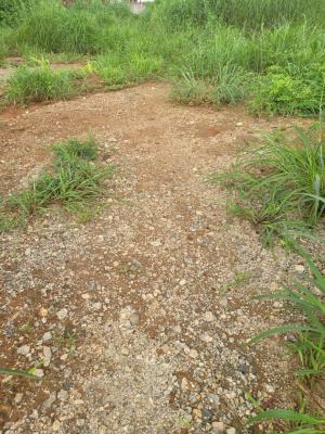 1ha Premium Katampe Extension Jv, Off Becca, Katampe Extension, Katampe, Abuja, Residential Land Joint Venture