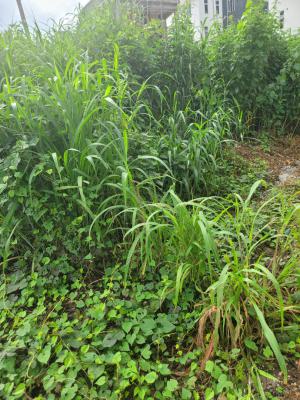 1.002 Hectares, Mbora (nbora), Abuja, Residential Land Joint Venture