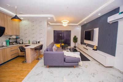Well Furnished and Serviced 1 Bedroom Flat, Lekki Phase 1, Lekki, Lagos, Mini Flat (room and Parlour) for Rent