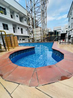 Fully Serviced with Amazing Facilities  and 24 Hours Light, Villa, Ikota, Lekki, Lagos, Flat / Apartment for Rent
