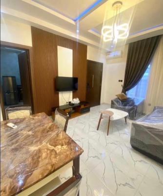 Beautifully Furnished Mini Flat with Pool Gym 24hours Light, Ologolo, Lekki, Lagos, Mini Flat (room and Parlour) for Rent