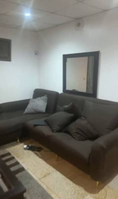 Furnished Miniflat, 1004 Estate, Victoria Island (vi), Lagos, Mini Flat (room and Parlour) for Rent