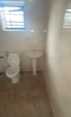 Newly Built, Very Spacious and Standard Miniflat, Palmgrove, Ilupeju, Lagos, Mini Flat (room and Parlour) for Rent