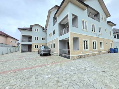Lovely Newly Renovated 2 Units of 2-bedroom Flat with Bq, Lekki Phase 1, Lekki, Lagos, Flat / Apartment for Rent
