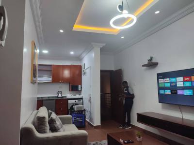 1 Bedroom Within a Block of Flats in a Serviced Estate, Wuye, Abuja, Mini Flat (room and Parlour) for Sale