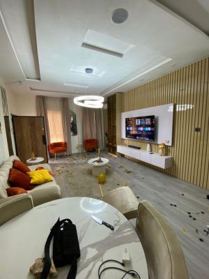 Furnished 2 Bedroom Flat with 3 Balconies, Ikate, Lekki, Lagos, Flat / Apartment for Rent