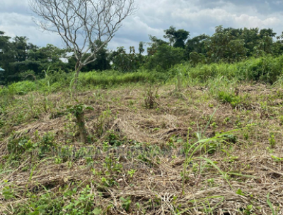 Land for Prime Garden Plot, Nasir El-rufai Crescent, Guzape District, Abuja, Mixed-use Land for Sale