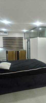 a Spacious Furnished Room Studio Apartment, Chevron Drive Paradise 3 Estate Chevron, Lekki, Lagos, Self Contain (single Rooms) for Rent