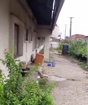 Warehouse of 15,000sqm   Lease; 60m per Annum, Location Iganmu, Surulere, Lagos, Commercial Property for Rent
