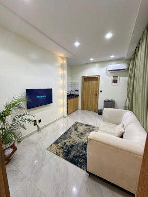 1 Bedroom Condo with Balcony, 3, Sorotona Close, Wuse 2, Abuja, Mini Flat (room and Parlour) Short Let
