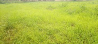2 Bedroom Terrace Bungalow, Zuba Deplomatic Zone, Zuba, Abuja, Residential Land for Sale