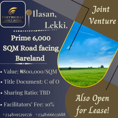 Strategic 6,000 Sqm Road-facing Land, Ilasan, Lekki, Lagos, Land Joint Venture