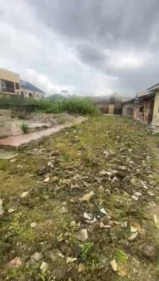 a Half Plot, Fenced and Gated Measuring 300sqm, Sholuyi, Gbagada, Lagos, Land for Sale