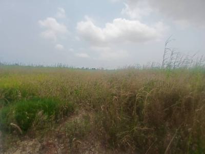 Land Measuring 4511sqm, Gracefield Island, Chevron, Lekki, Lagos, Mixed-use Land for Sale