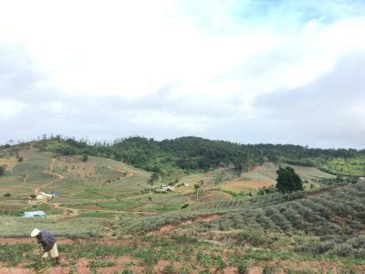 Residential Land, Ido, Oyo, Land for Sale