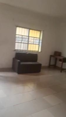 Spacious Mini Ground Flat, Soluyi, Gbagada, Lagos, Mini Flat (room and Parlour) for Rent