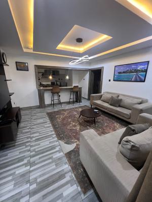 Sophisticated 2 Bedroom with Excellent Facilities, Wuye, Abuja, Flat / Apartment Short Let