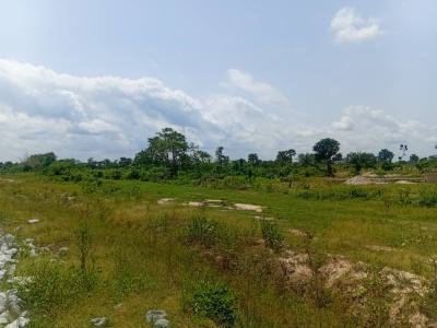 Large Parcel of Industrial Land, Along Papalanto Sagamu Expressway Beside Pacific Power Plant, Olorunso, Sagamu, Ogun, Industrial Land for Sale