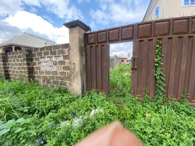 Complete Dry, Fenced, Gated Full Plot of Land with C of O, Off Aiyelegun Road, Bucknor, Isolo, Lagos, Residential Land for Sale